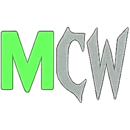 favicon_old.ico